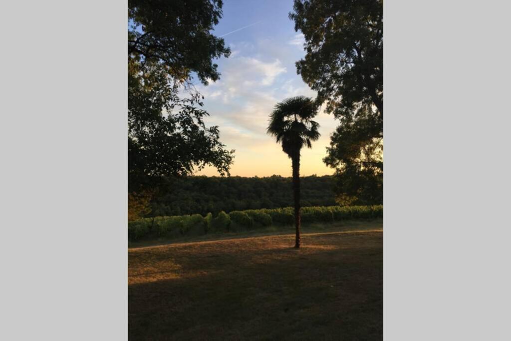 Chateau Du Grava Villa Haux (Gironde)